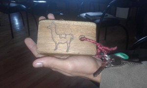 13553208_1261958560482577_1274202735_n