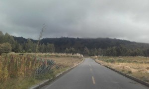 13566184_1261958533815913_1598116537_n